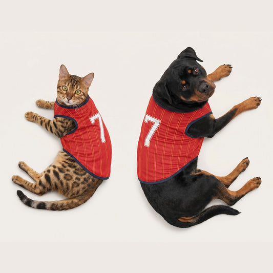 Breathable Pet Soccer Jersey for Dogs and Cats